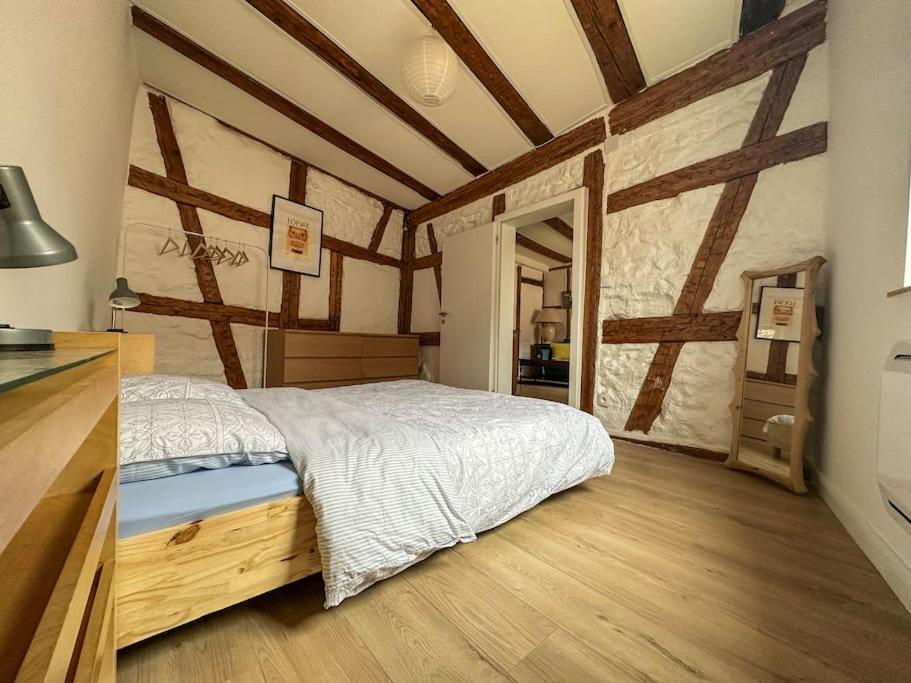 זלסטאט Nouvel Appartement, Le Colombage Heureux מראה חיצוני תמונה