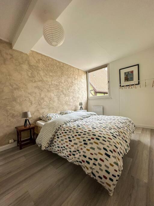 זלסטאט Nouvel Appartement, Le Colombage Heureux מראה חיצוני תמונה