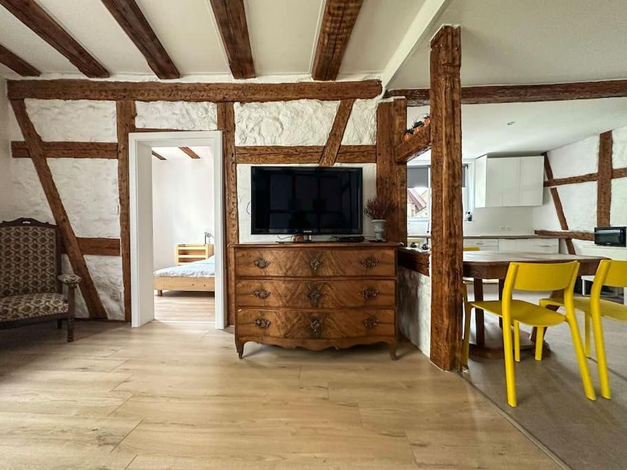 זלסטאט Nouvel Appartement, Le Colombage Heureux מראה חיצוני תמונה