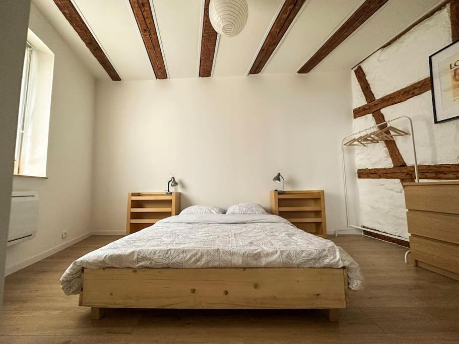 זלסטאט Nouvel Appartement, Le Colombage Heureux מראה חיצוני תמונה