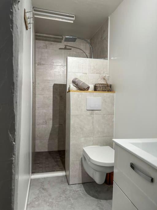 זלסטאט Nouvel Appartement, Le Colombage Heureux מראה חיצוני תמונה