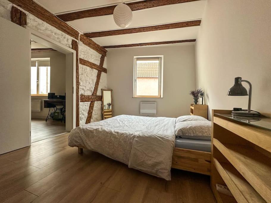 זלסטאט Nouvel Appartement, Le Colombage Heureux מראה חיצוני תמונה