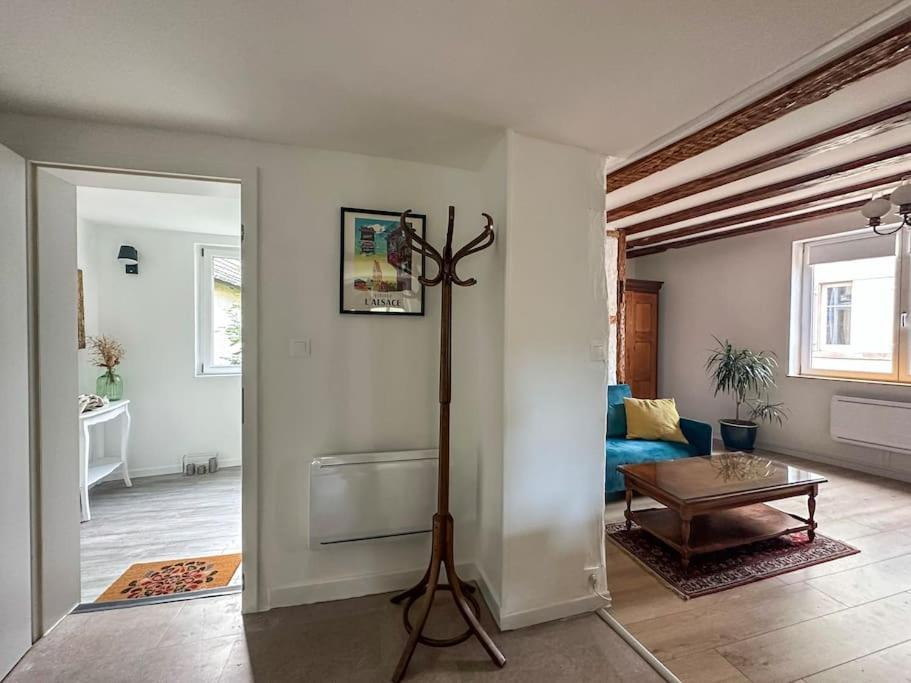 זלסטאט Nouvel Appartement, Le Colombage Heureux מראה חיצוני תמונה